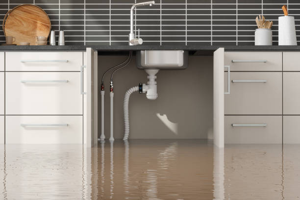 Fire Damage Restoration in Ester, AK